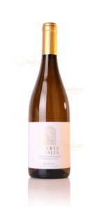 26519-adalia-verdejo-nederwijnen